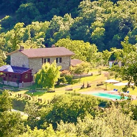 Agriturismo Vista Sole Villa Mercatale  Luaran gambar