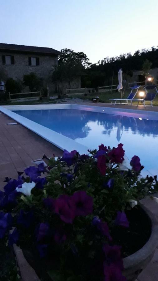 Agriturismo Vista Sole Villa Mercatale  Luaran gambar