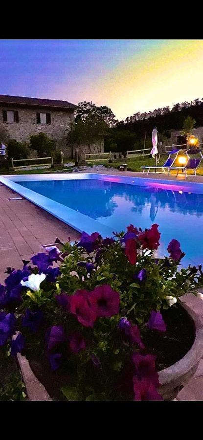 Agriturismo Vista Sole Villa Mercatale  Luaran gambar