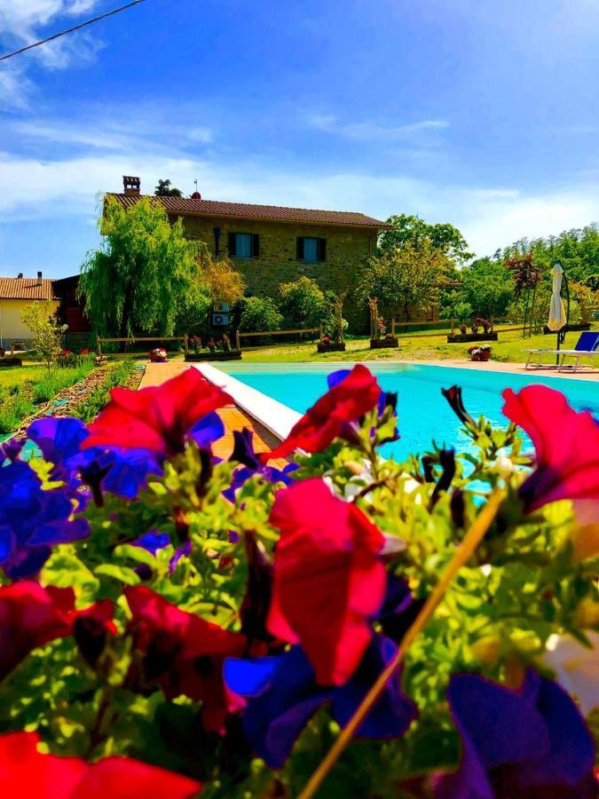 Agriturismo Vista Sole Villa Mercatale  Luaran gambar